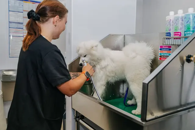 Woof Gang Bakery & Grooming Santa Clara — photo from the business 10