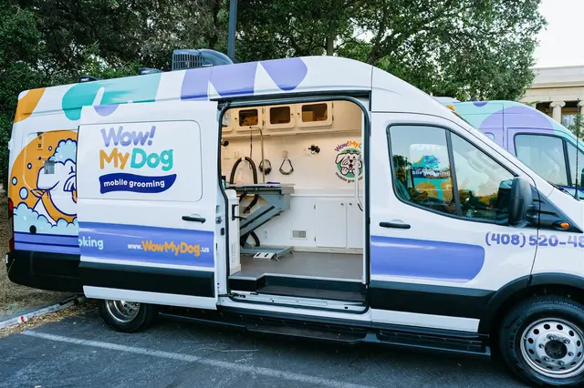 Wow! My Dog - Mobile Grooming — photo from the business 3