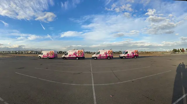 Art Pet Mobile Grooming — photo from the business 6