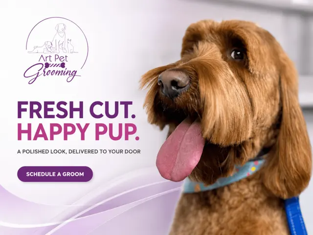 Art Pet Mobile Grooming — photo from the business 2