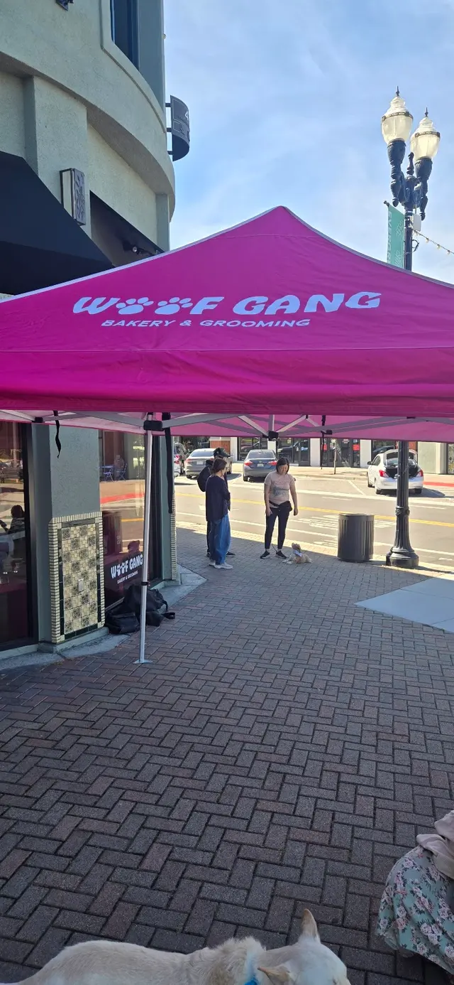 Woof Gang Bakery & Grooming Evergreen — customer photo 5