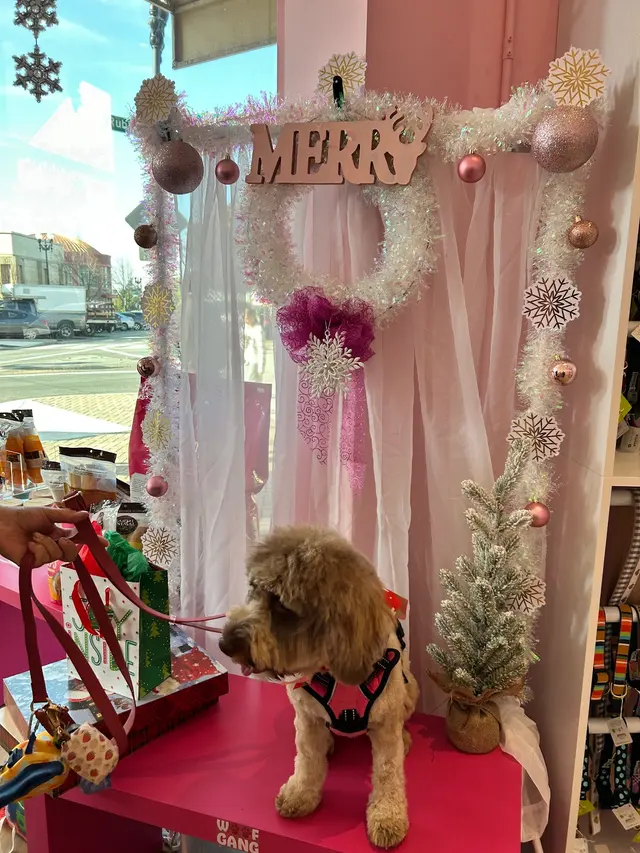 Woof Gang Bakery & Grooming Evergreen — customer photo 12