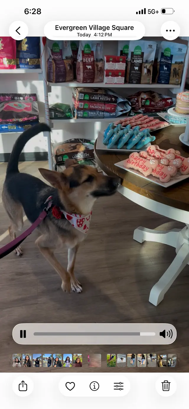 Woof Gang Bakery & Grooming Evergreen — customer photo 9