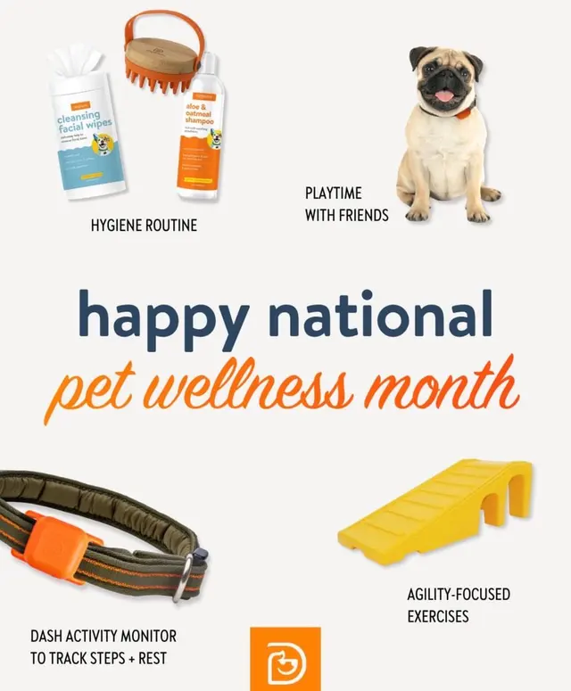 Dogtopia of San Jose — photo from the business 5