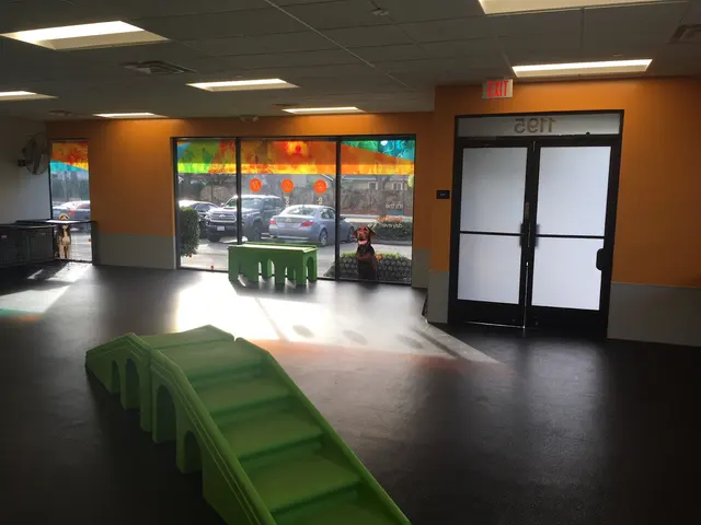 Dogtopia of San Jose — photo from the business 12