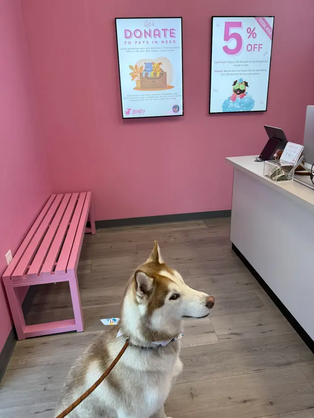 Lush Spaw — customer photo 3