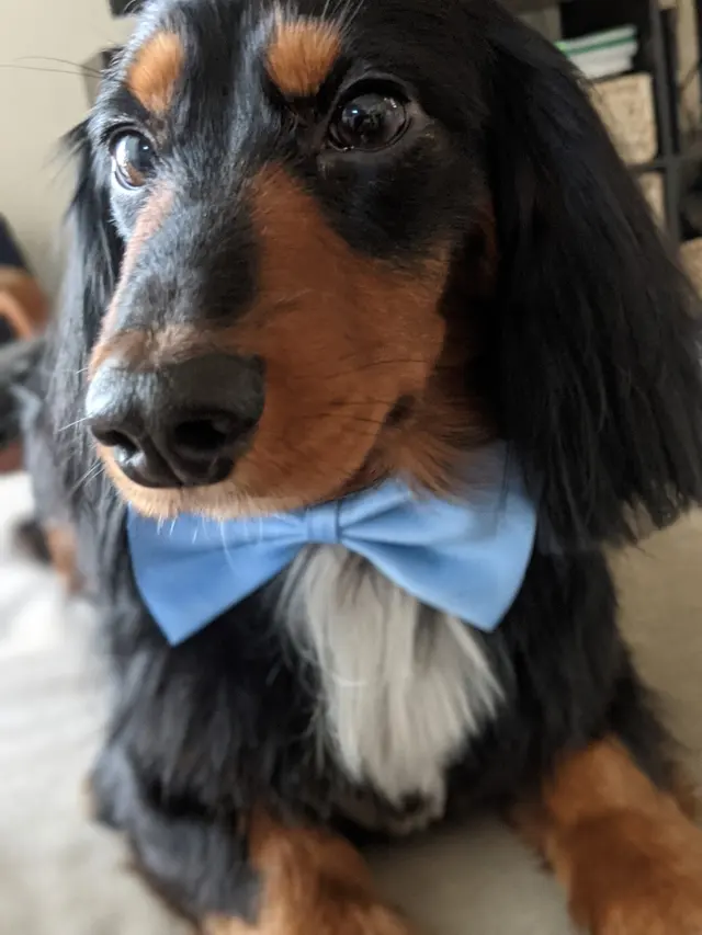 Lush Spaw — customer photo 8