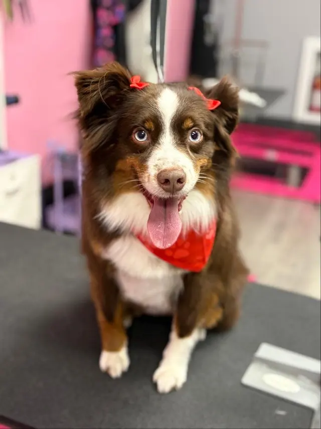 Lush Spaw — customer photo 1