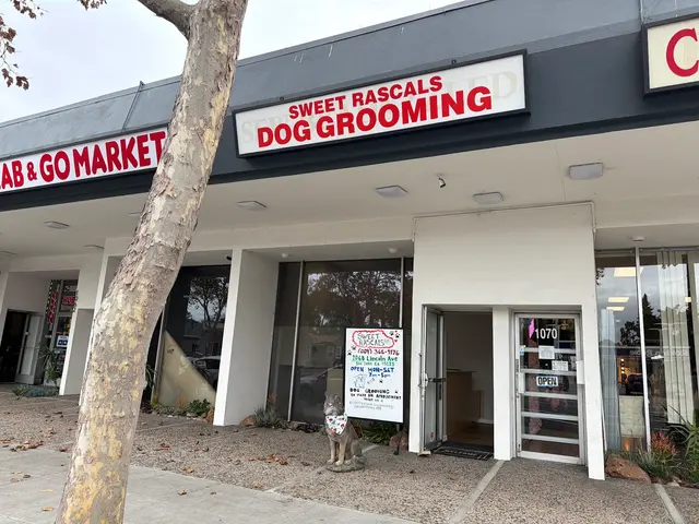 Sweet Rascals Dog Grooming — photo from the business 1