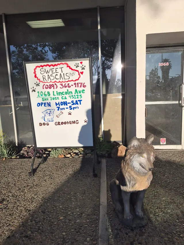 Sweet Rascals Dog Grooming — photo from the business 11