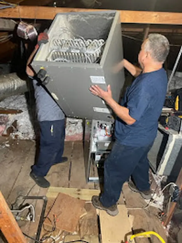 The Lee Thompson Co — photo from the business 8