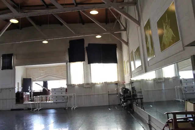 Academy of Ballet — photo from the business 4