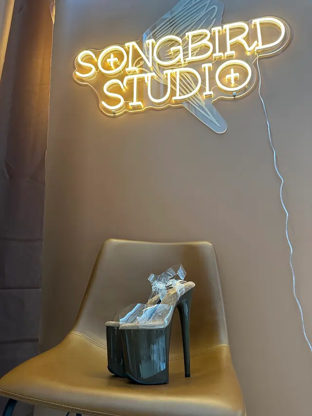 Songbird Dance — photo from the business 12