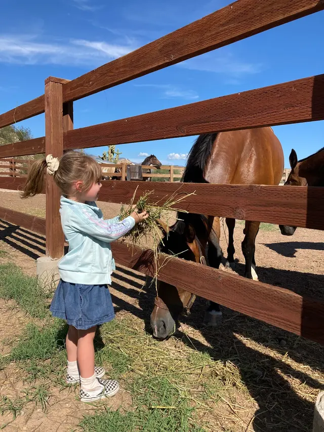 Tucson Fence Company — customer photo 12