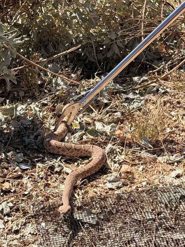 Customer photo of work by Arizona Snake Fence, from Erik Burford's review