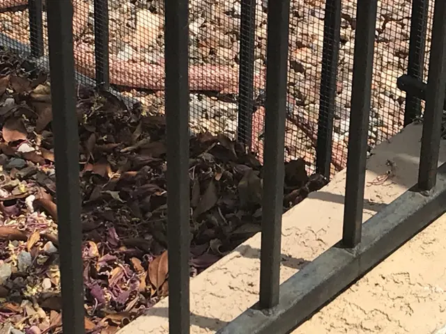 Arizona Snake Fence — customer photo 11