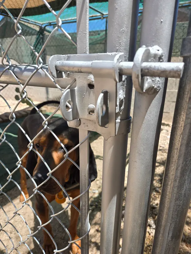 Stark Fence Co — customer photo 6