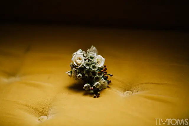 Tim Toms Photography — photo from the business 3