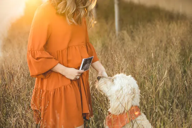 Heirloom Photo Company — photo from the business 3