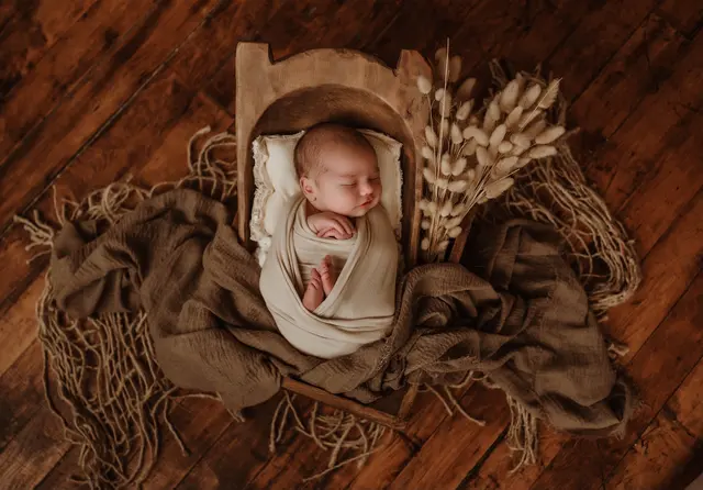 Shelby Huntress Photography — photo from the business 10