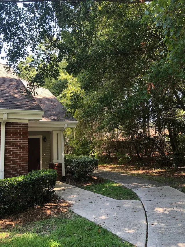 Sunabella at Savannah — photo from the business 4