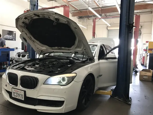 Solely Bimmer Professional BMW Service — photo from the business 5