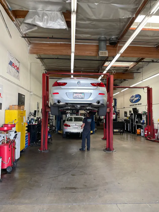 Solely Bimmer Professional BMW Service — customer photo 3