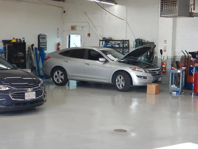 DM Auto Services, Inc. — customer photo 1