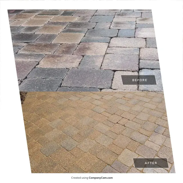MX Pressure and Soft Wash — photo from the business 3