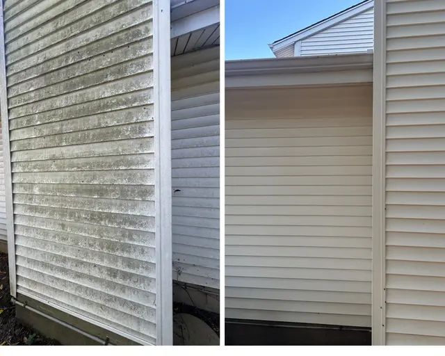 MX Pressure and Soft Wash — photo from the business 11