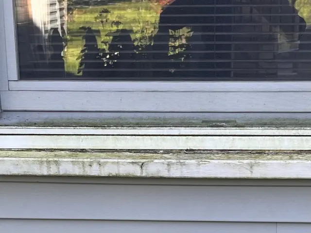 Don's Pressure Wash It (hot water available — customer photo 5