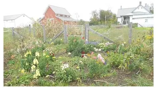 Gallant Farm — photo from the business 12
