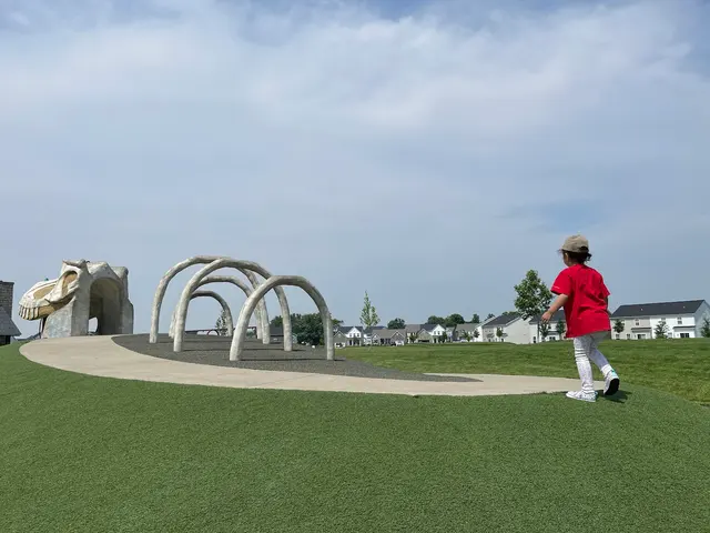 Veterans Park — customer photo 11