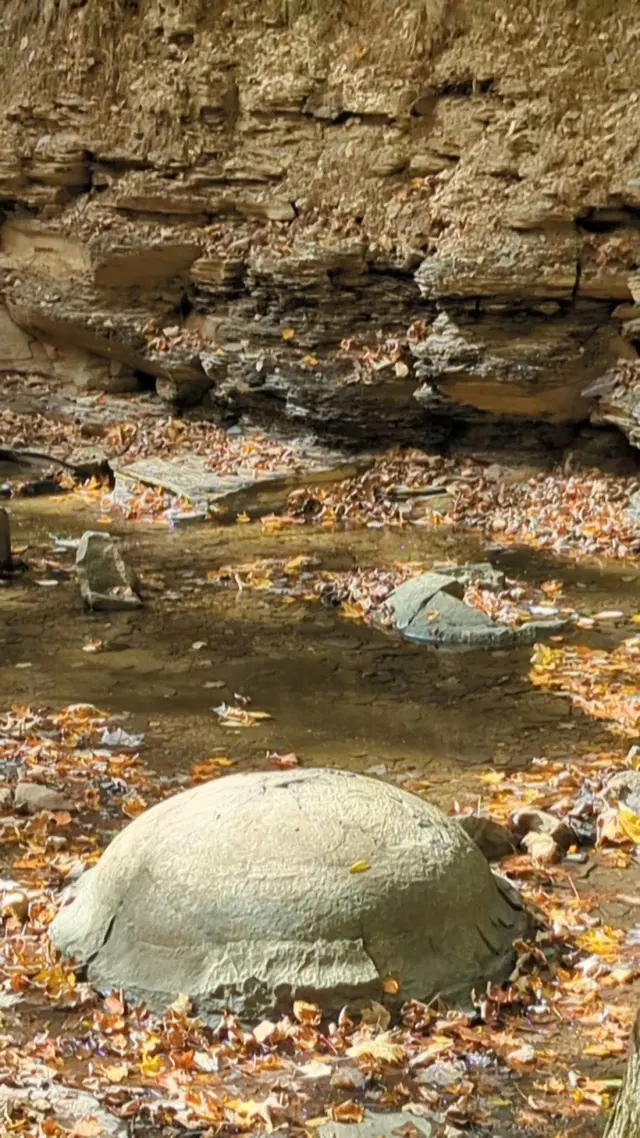 Customer photo of work by Shale Hollow Park, from Kim Napier's review
