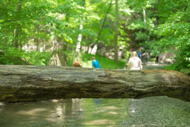 Shale Hollow Park — photo from the business 6