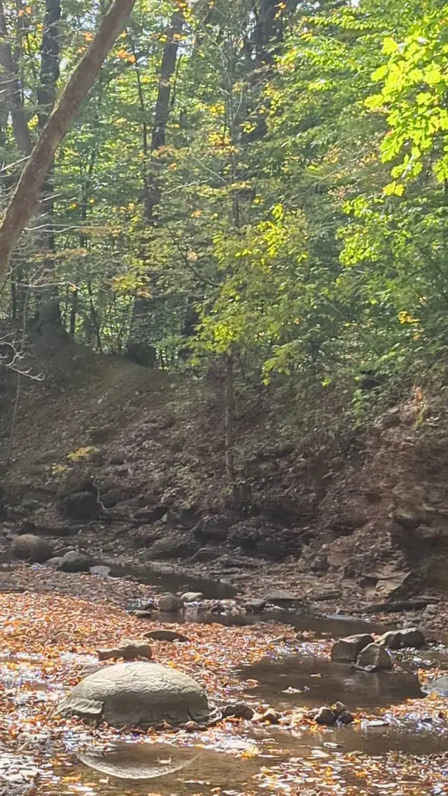 Customer photo of work by Shale Hollow Park, from Kim Napier's review
