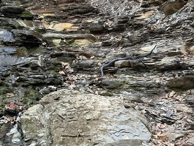 Customer photo of work by Shale Hollow Park, from Mary Ramsey's review