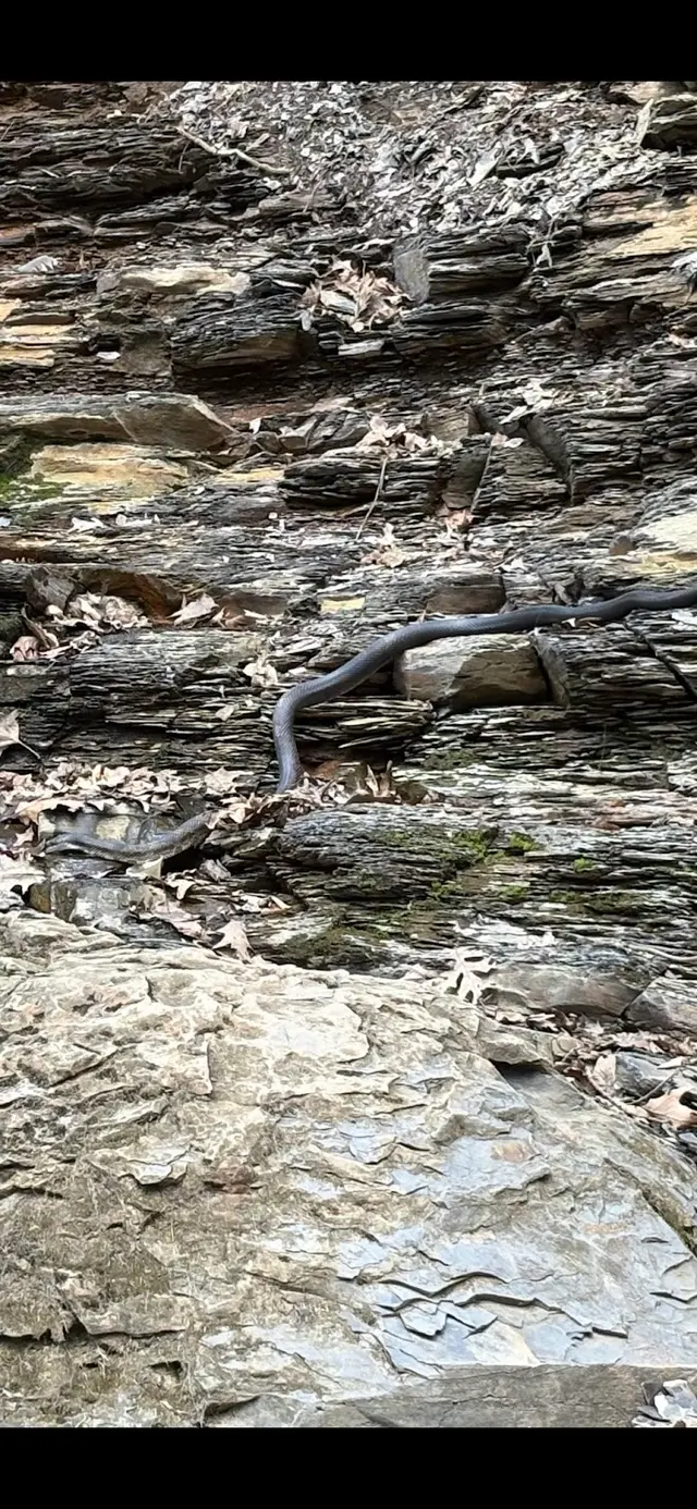Customer photo of work by Shale Hollow Park, from Mary Ramsey's review
