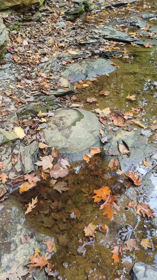 Customer photo of work by Shale Hollow Park, from Kim Napier's review