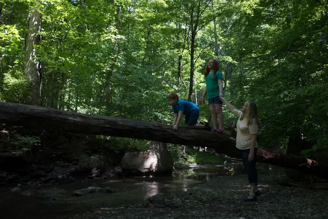 Shale Hollow Park — photo from the business 10