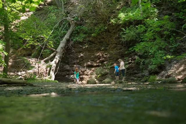 Shale Hollow Park — photo from the business 3