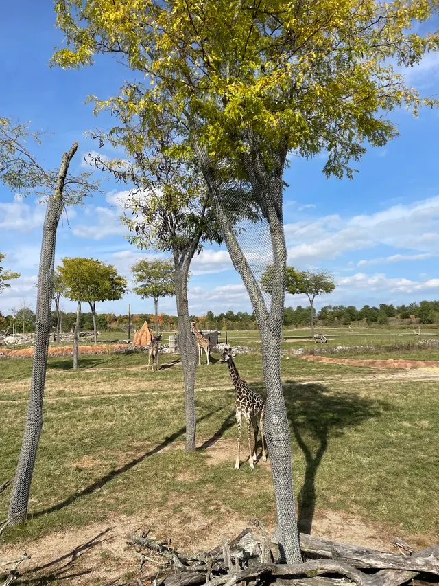 Heart of Africa — customer photo 10