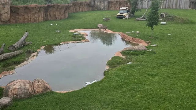 Heart of Africa — customer photo 5