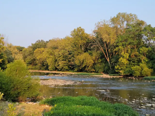 Mingo Park — customer photo 3