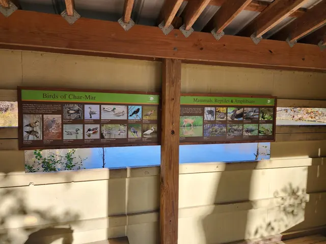 Customer photo of work by Char-Mar Ridge Park, from Tony K. (TKShadowBlade)'s review