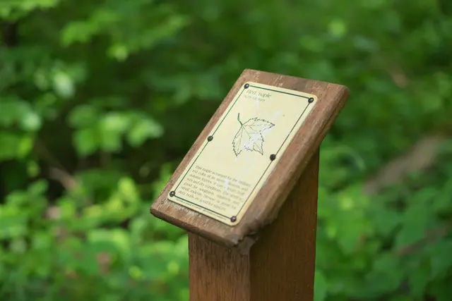 Char-Mar Ridge Park — photo from the business 6