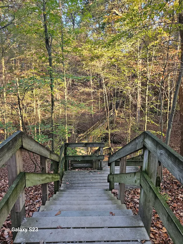 Customer photo of work by Hogback Ridge Park, from Bobbi Marie Heisley's review