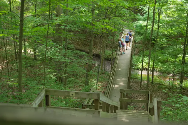 Hogback Ridge Park — photo from the business 4