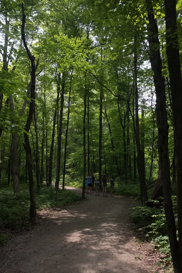 Hogback Ridge Park — photo from the business 5