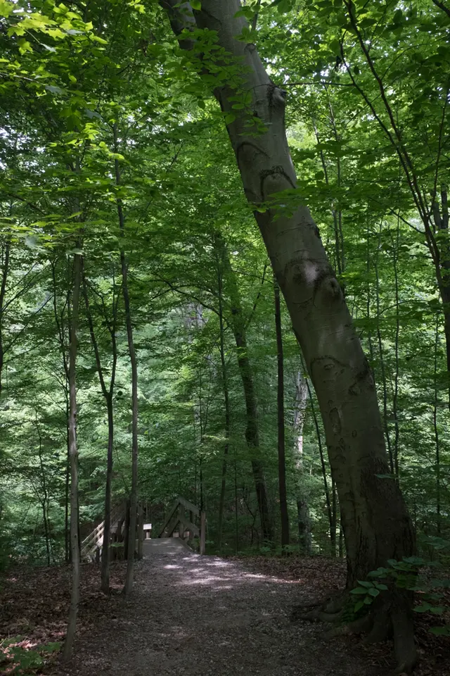 Hogback Ridge Park — photo from the business 2